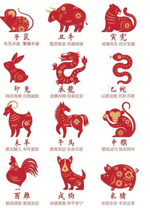 六字猜一生肖-六字打一数字是什么动物