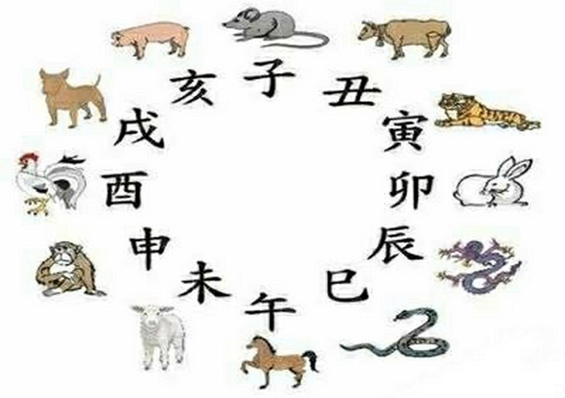 一清二白比喻什么生肖-一清二白比喻什么生肖和动物
