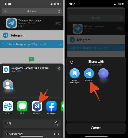 telegreat登录教程-telegram网页登录入口