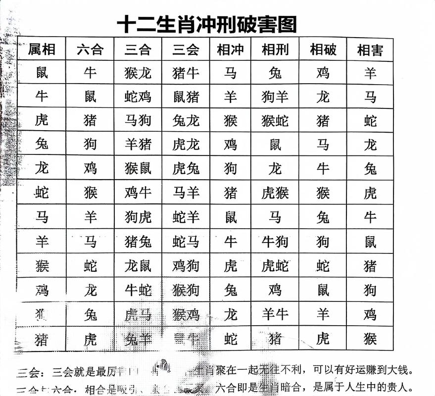 生肖老鼠跟什么生肖冲的-十二生肖中老鼠和什么相冲