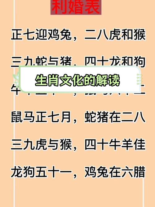 十一今期指什么生肖-十一今期不分离是什么生肖