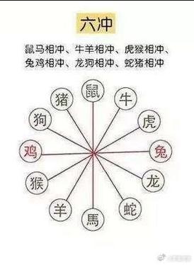 今期牛羊是什么生肖-牛羊今期有钱收打一生肖