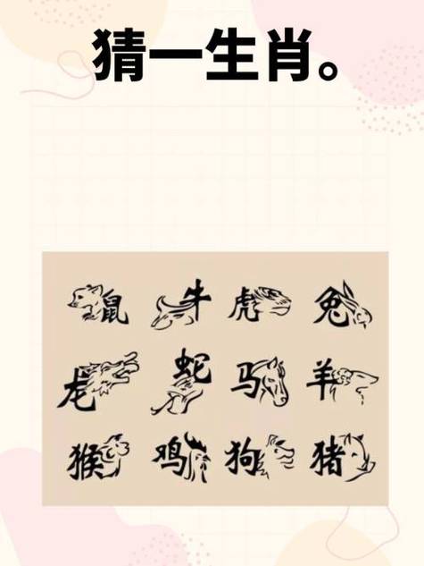 个字打一生肖动物-一个字代表一个生肖
