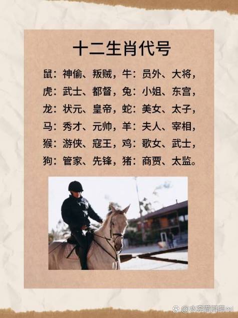 “江山之恨”是什么生肖动物-江山之恨是什么生肖动物正确答案