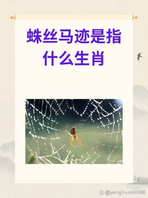 “脱僵之马”打一正确的生肖的简单介绍