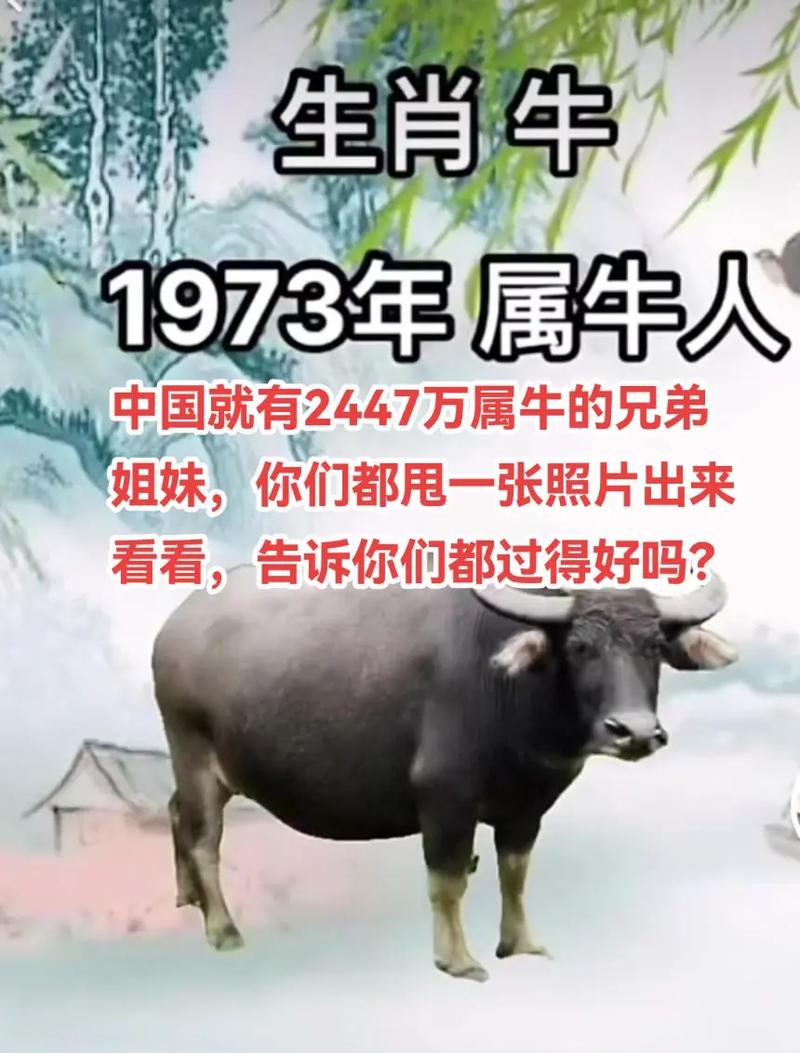 一七好合今期开是什么动物的简单介绍