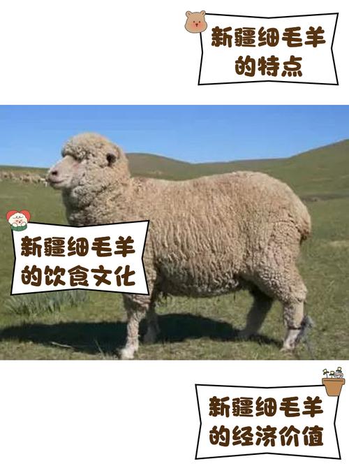 关于细羊捉玄机可以理解为兔吗的信息