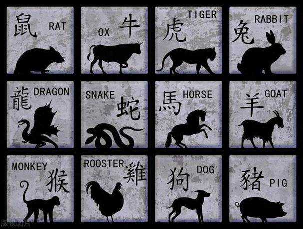今期生肖找牧童打一个正确数字-今期生肖最好找,农民视它家中宝
