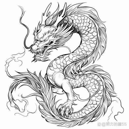 老态龙钟打一生肖最佳答案-老态龙钟是什么生肖动物生肖