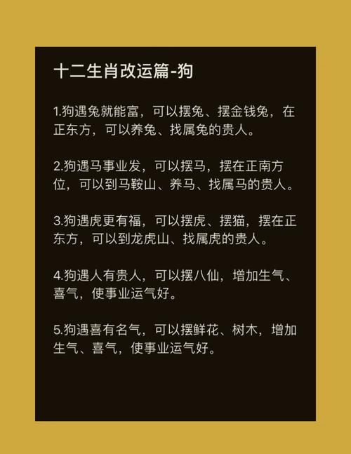 “狗兔”代表什么生肖-狗兔代表什么生肖和动物