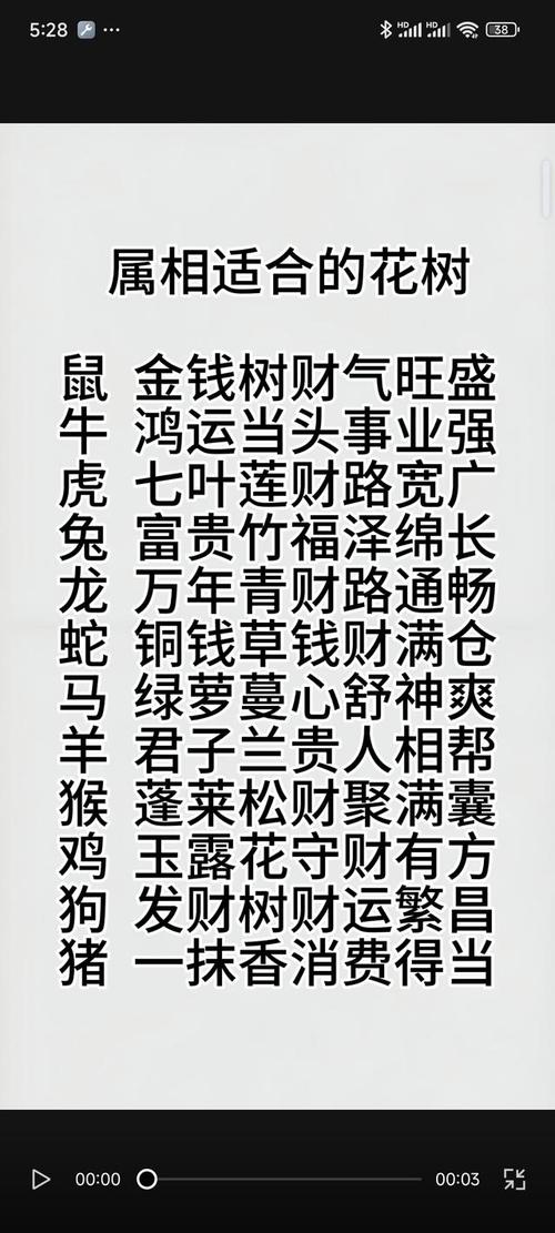 今期绿波行大运,家有六畜家中旺-今期绿波行大运,家有六畜家中旺是什么生肖