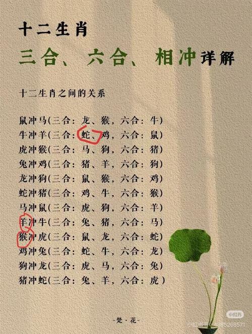 包含生宝宝要属什么生肖最好的词条