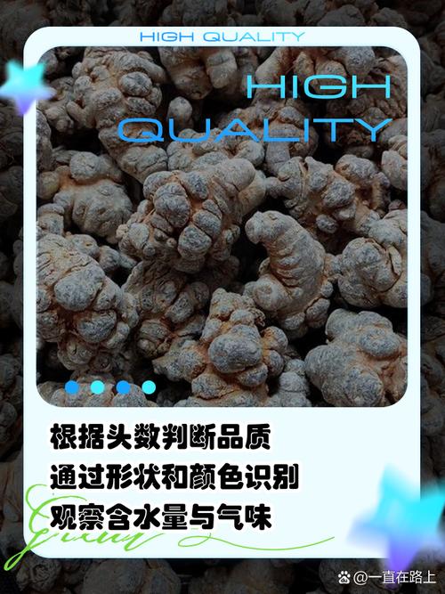 三七今期看后数是什么意思-三七今期看后数是什么意思说的是哪一个数字