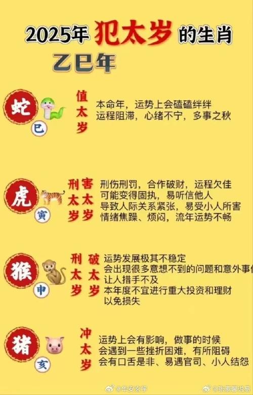 蛇冲猪开什么生肖最旺数字的简单介绍