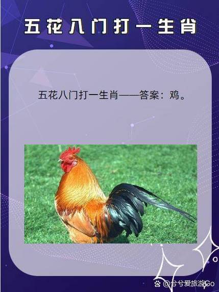 关于“大敌当前”打一个生肖动物的信息