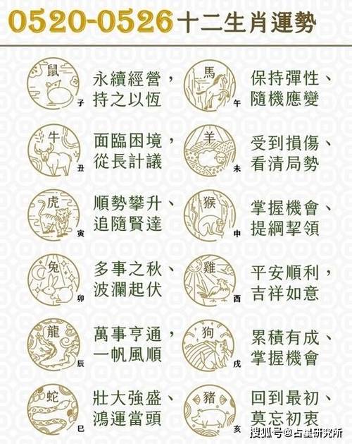 佔打一生肖-占打一准确生肖