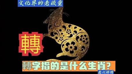 淾打一生肖-鲠代表什么生肖