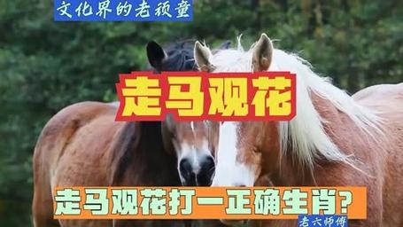 今期生肖开银花打一正确动物-今期开什么生肖动物视频2o19