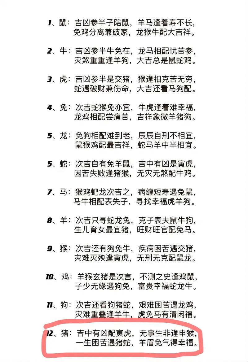 今期生肖不识丁是什么动物-十二生肖不识丁的是什么生肖