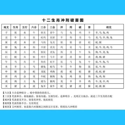二九相合在今期是什么生肖-二九相合在今期是什么生肖双双对对兴金水打一生肖