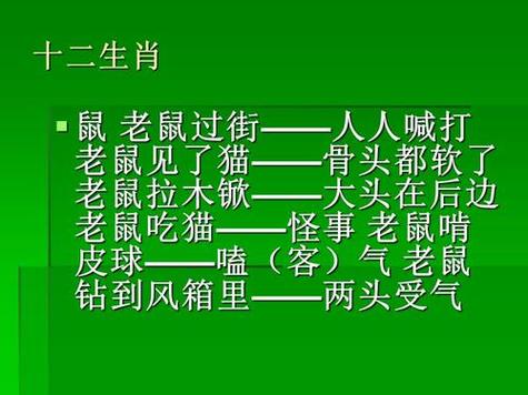 望打一生肖正确答案-望字打最佳一生肖动物