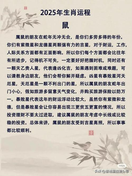 2025年是什么生肖今年-2025年属什么生肖年是什么年