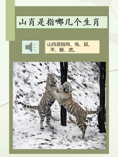 风流人物看今期是讲那几肖-风流人物看今期是讲那几肖的动物