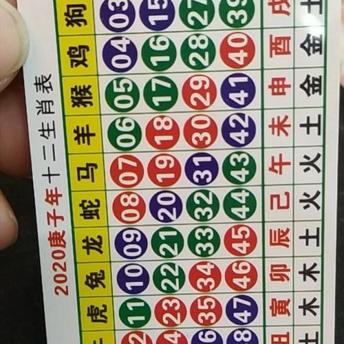今期生肖排第一正确答案是-今期生肖排第一正确答案是什么