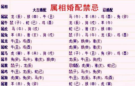 属龙跟什么生肖最配对-属龙和什么生肖婚配最好