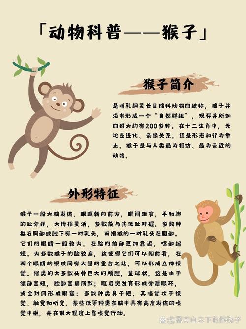 “沐猴衣冠”打一最佳准确生肖的简单介绍