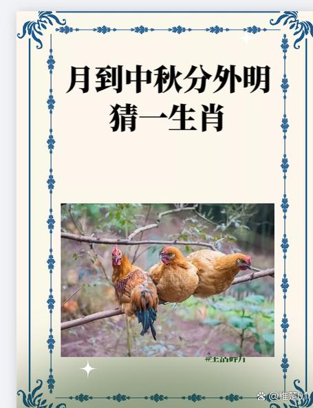 猜代表什么动物生肖-猜代表什么动物生肖呢