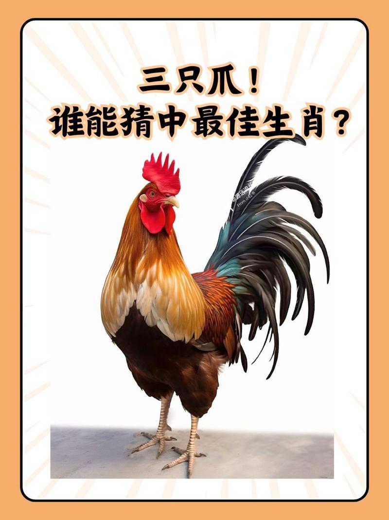 “手无寸铁”打一动物生肖-手无寸铁打一动物生肖是什么