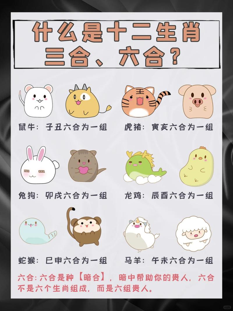 一三合七今期来猜生肖-一三合四中本期打一数字