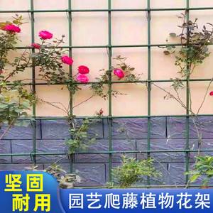 pc梯子怎么用爬墙-2020pc端电脑梯子